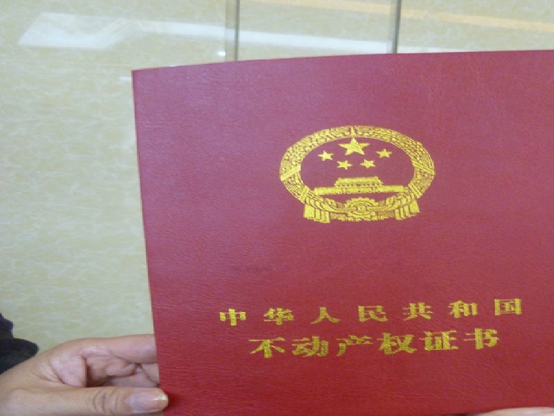 证件照片拍摄与排版的注意事项